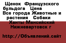 Щенок  Французского бульдога › Цена ­ 35 000 - Все города Животные и растения » Собаки   . Ханты-Мансийский,Нижневартовск г.